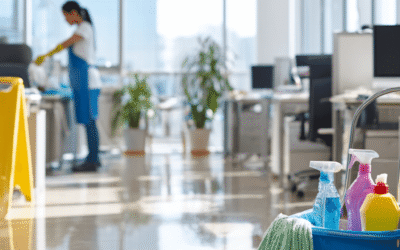 Professionele schoonmaak gids